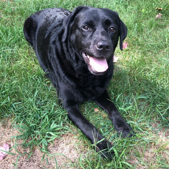 Meet your Posher, Karen - Picture 7 of 7